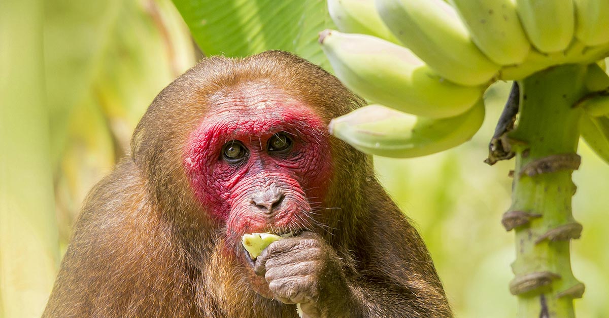 Why Does My Face Turn Red After I Put On Lotion or Cream?